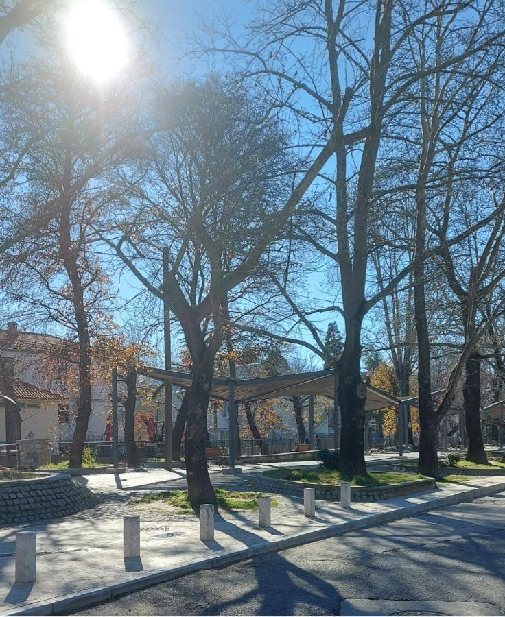 Fbm Anagenessis - Ευ Ζην Daire Vodina Dış mekan fotoğraf