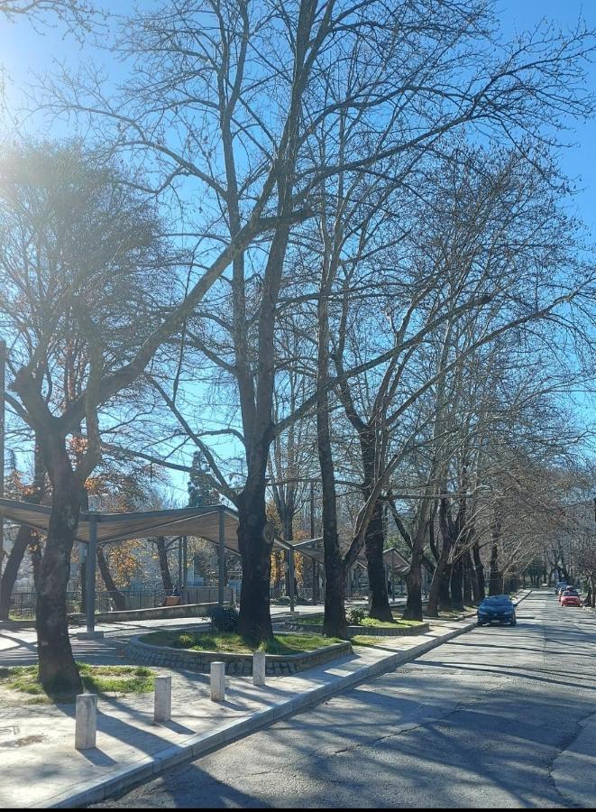 Fbm Anagenessis - Ευ Ζην Daire Vodina Dış mekan fotoğraf